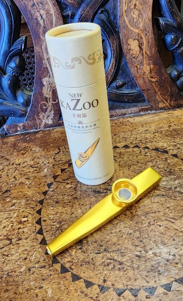 Brand New Metal Kazoo with Case Carousel 1