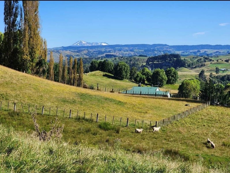 Ruru road taihape, Taihape, Rangitikei, Manawatu / Whanganui