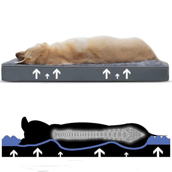 Premium Dog Bed with Removable Washable Cover - XLarge Carousel 5