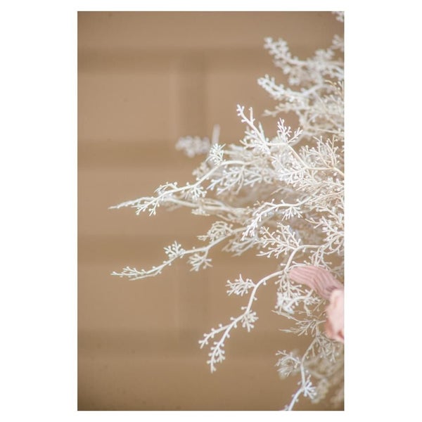 Rembrandt Artificial Dried Flower Bouquet (SE2586) Carousel 1