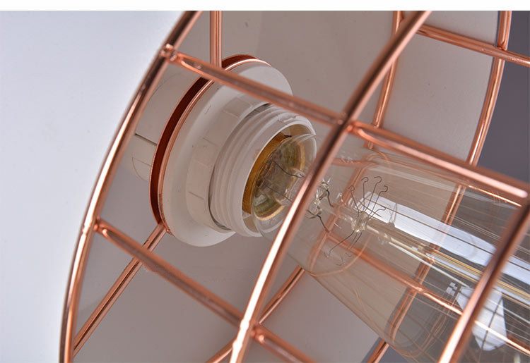 Cage Pendant Light White WITH COPPER COLOR LINES Carousel 2
