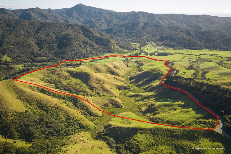 ThamesCoromandel Rural properties Trade Me Property