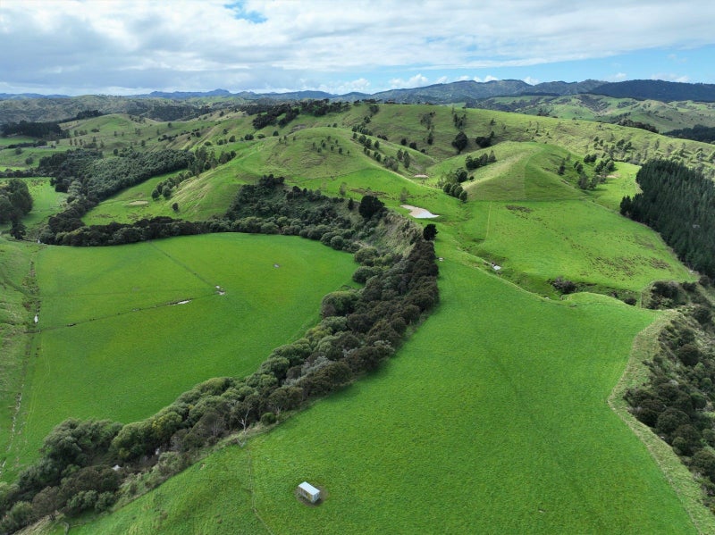 Masterton Rural properties | Trade Me Property