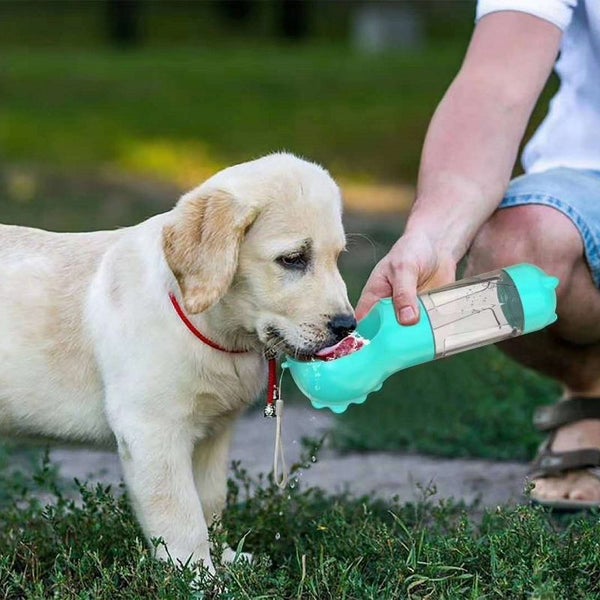 3 in 1 Puppy Dog Cat Pet Water Bottle Drinking Travel Portable 300ml NEW Carousel 2