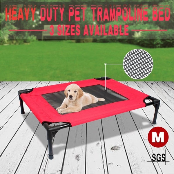 Small Dog Bed / Elevated Pet Bed Carousel 2
