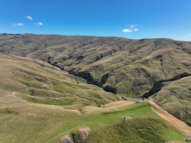 1989 Aitchison Runs Road, Tapanui, Clutha, Otago