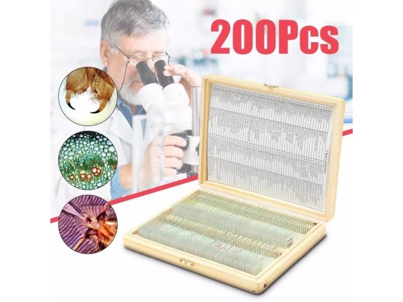 Human Anatomy Model Medical Teaching Kits Carousel 1