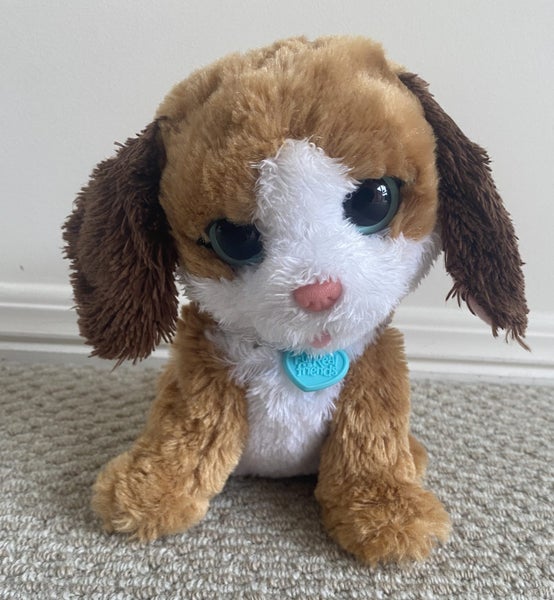 Fur Real friends talking dog Carousel 1