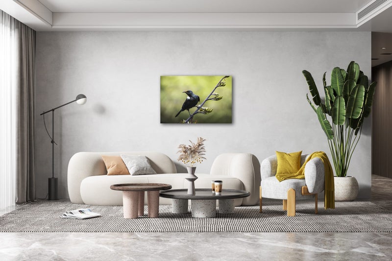 Rokit wall Art NZ Tui Songbird Giclee Canvas Print Carousel 1