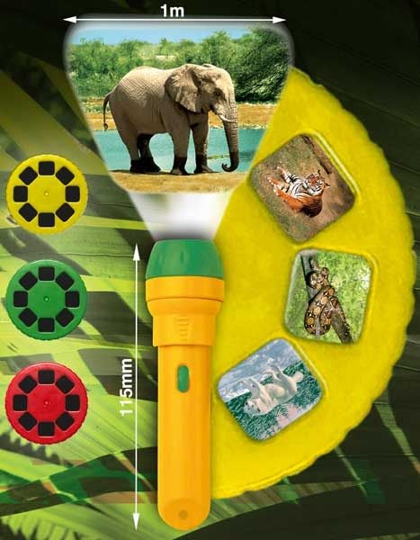 Brainstorm Animal Torch and Projector Carousel 2