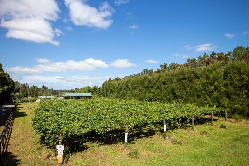 Kerikeri Rural properties Trade Me Property