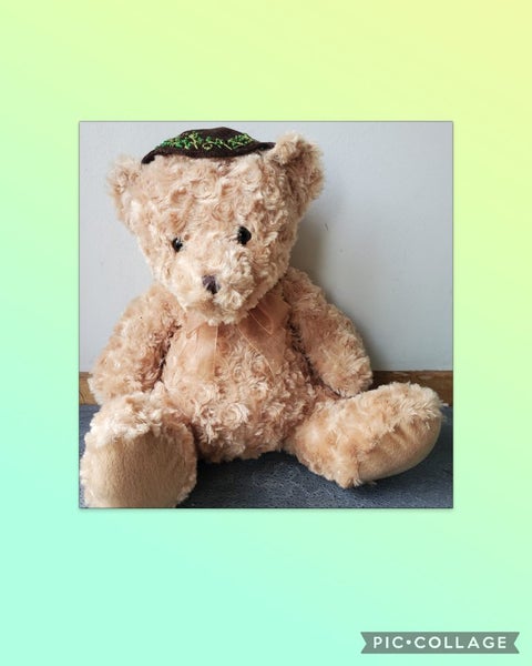 4 teddies to choose from sensory therapy weighted teddy Carousel 6