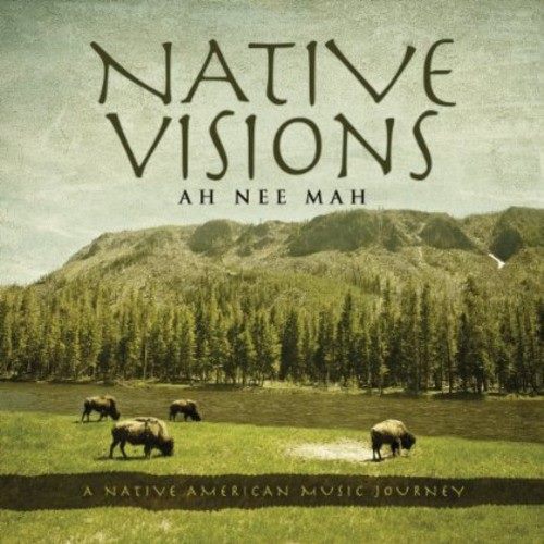 Ah*Nee*Mah - Native Visions: A Native American Carousel 1