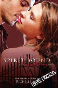 Spirit Bound: Vampire Academy Volume 5 By Richelle Mead (ISBN 9781921880117) Carousel 1