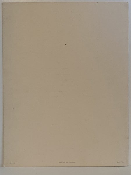 MARITIME MEMORABILIA: Cunard Line - RMS Media - Farewell Menu 1951 Carousel 2