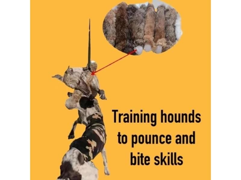 Hunting Dog Biting Toy Simulation Rabbit Interactive Dog Sound Toy For Training Carousel 1
