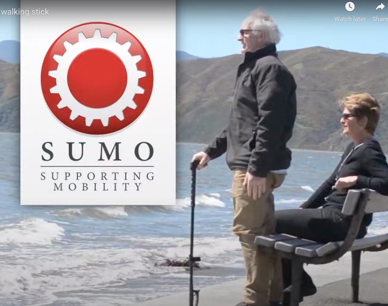 Sumo Walking Stick & Reacher Carousel 2