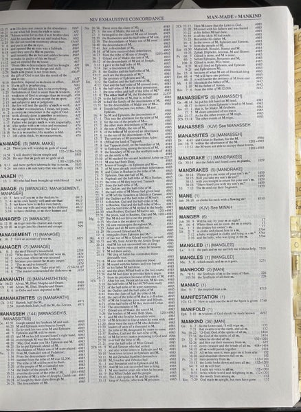 The Niv Exhaustive Concordance Carousel 6