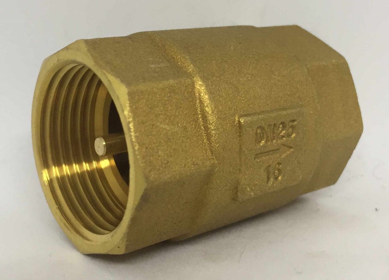 1" (25mm) Brass Spring Check Valve Carousel 1