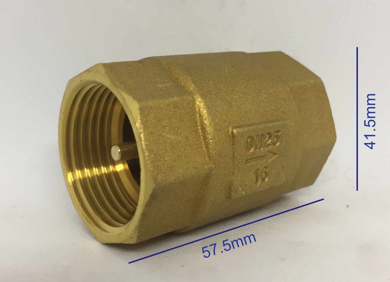 1" (25mm) Brass Spring Check Valve Carousel 2
