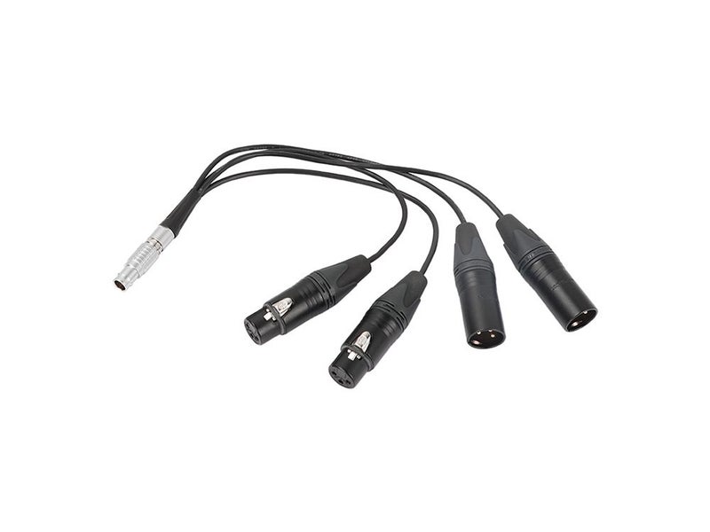 Lanxire Straight 10 Pin Male To 4 XLR 3 Pin Audio Input Output Cable Carousel 1