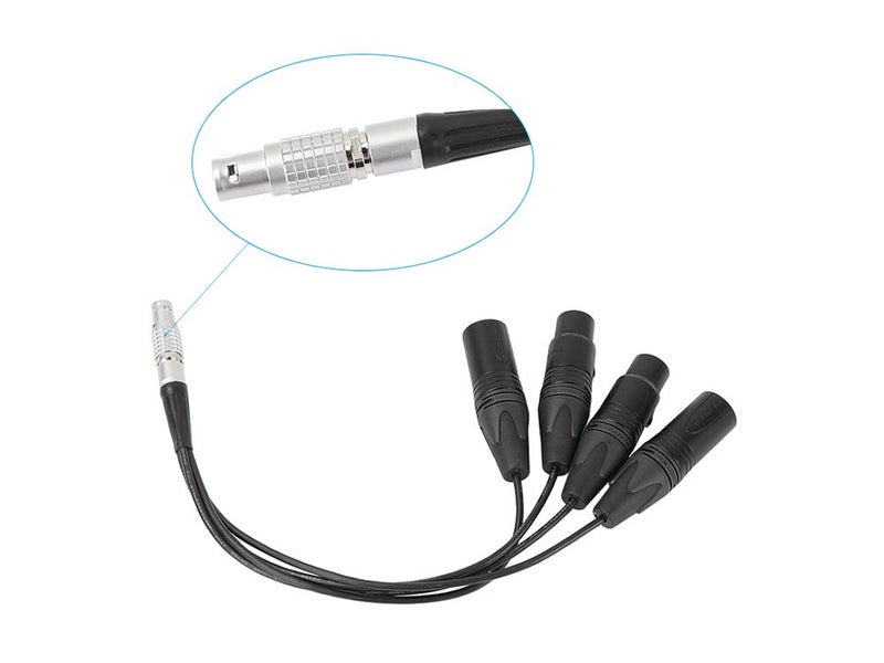 Lanxire Straight 10 Pin Male To 4 XLR 3 Pin Audio Input Output Cable Carousel 2