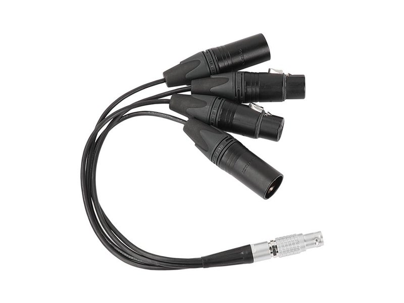 Lanxire Straight 10 Pin Male To 4 XLR 3 Pin Audio Input Output Cable Carousel 4