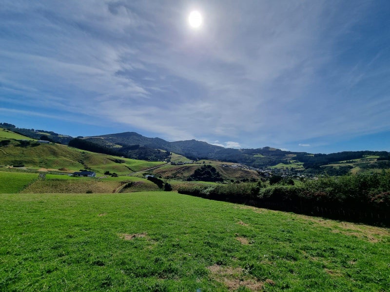 Sawyers Bay Homes & Real Estate For Sale Trade Me Property