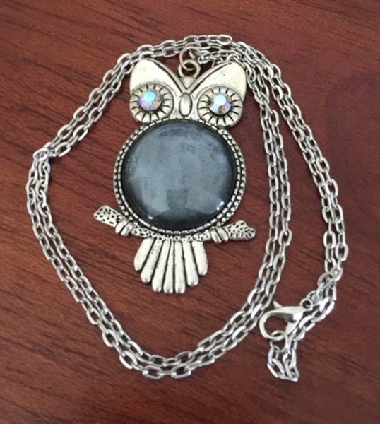 Silver Tone Glass Dome Owl Pendant Necklace Carousel 1