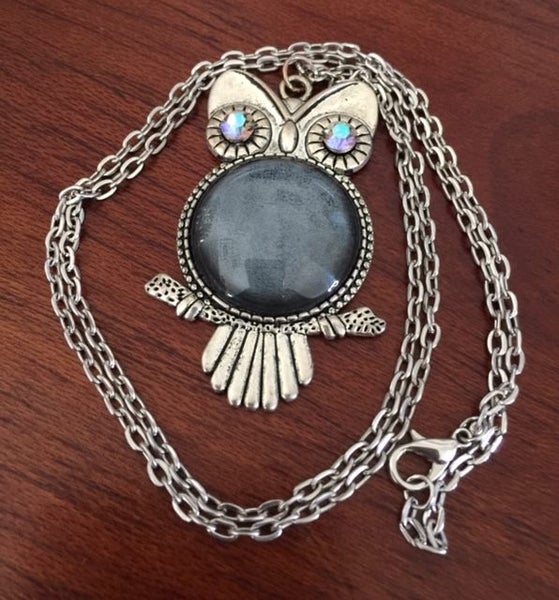 Silver Tone Glass Dome Owl Pendant Necklace Carousel 2