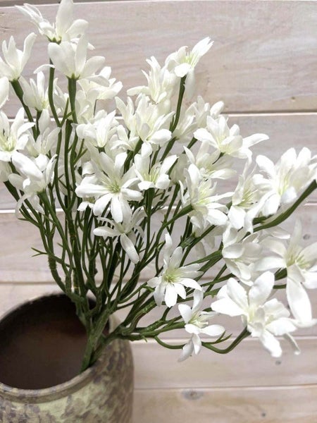 Star Flower – Star Flower Bundle Carousel 1