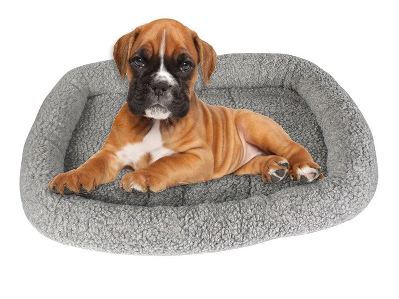 PTN NEW Dog Bed Sale Sale Carousel 8