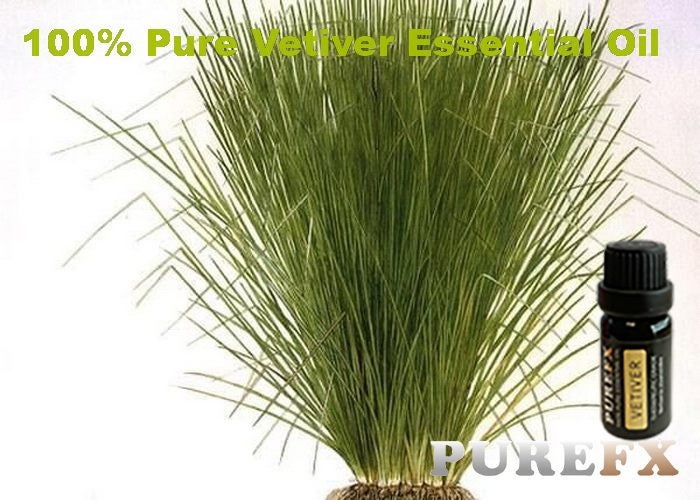 Vetiver 10ml Essential Oil 100% Pure Theraputic Grade Carousel 1