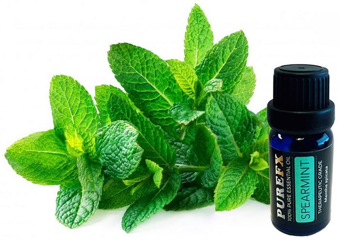 Spearmint Essential oil 200ml Purefx 100% pure Theraputic grade Carousel 1