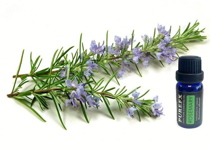 Rosemary Essential Oil 100% pure 25ml Carousel 1