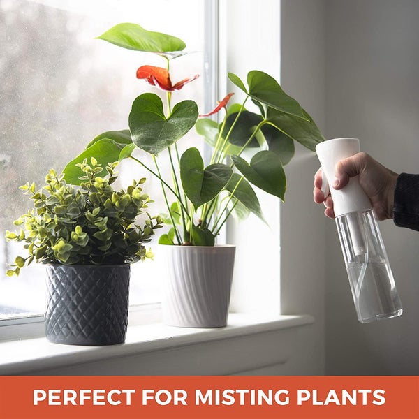 Continuous Spray Bottle New Carousel 2