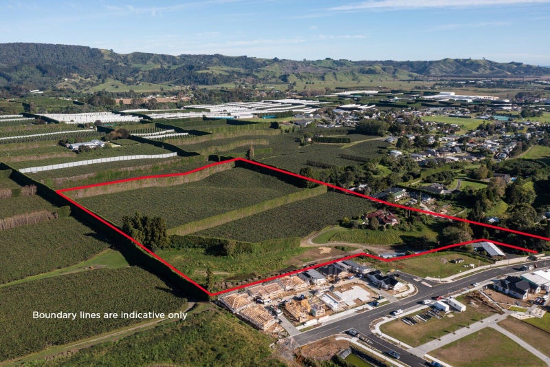 Te Puke Commercial properties for sale Trade Me Property