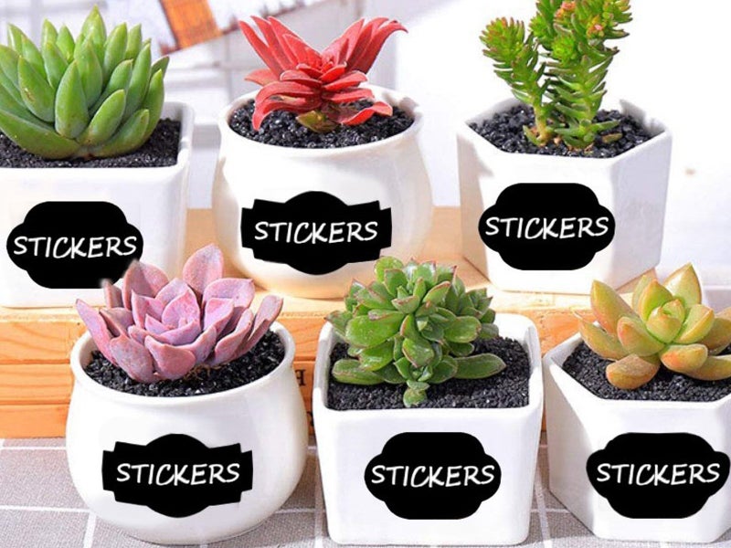 1 Roll 300Pcs Chalkboard Labels Carousel 2