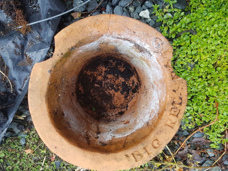 Homemade Small Pot in Warkworth Carousel 2