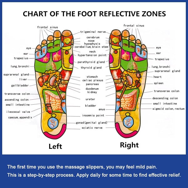 Acupoint Rotating Foot Massage Shoes Carousel 2