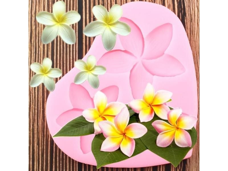 Silicone Moulds Mold Carousel 1