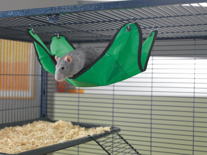Savic Relax Standard Mouse Rat Hammock 43.5x30cm Carousel 1