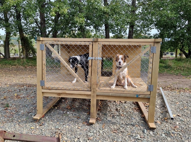 2 bay hotsell dog kennel