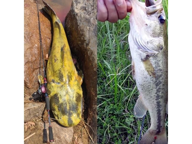 FELENHAI Spinning Casting Fuji Lure Fishing Rods 30T Carbon 3-70g Carousel 1