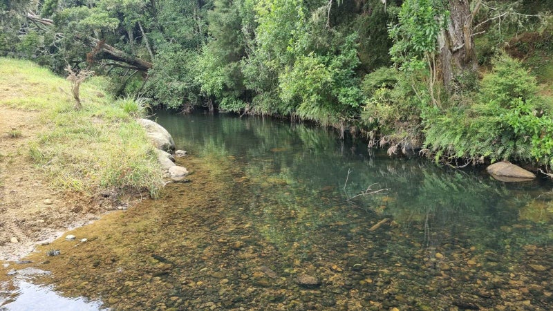 Image 3 of 23