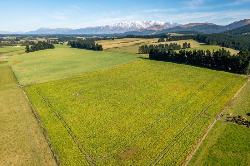 Selwyn Rural properties Trade Me Property