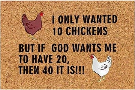 Non-Slip Door Mat Rugs Carpets Carousel 7