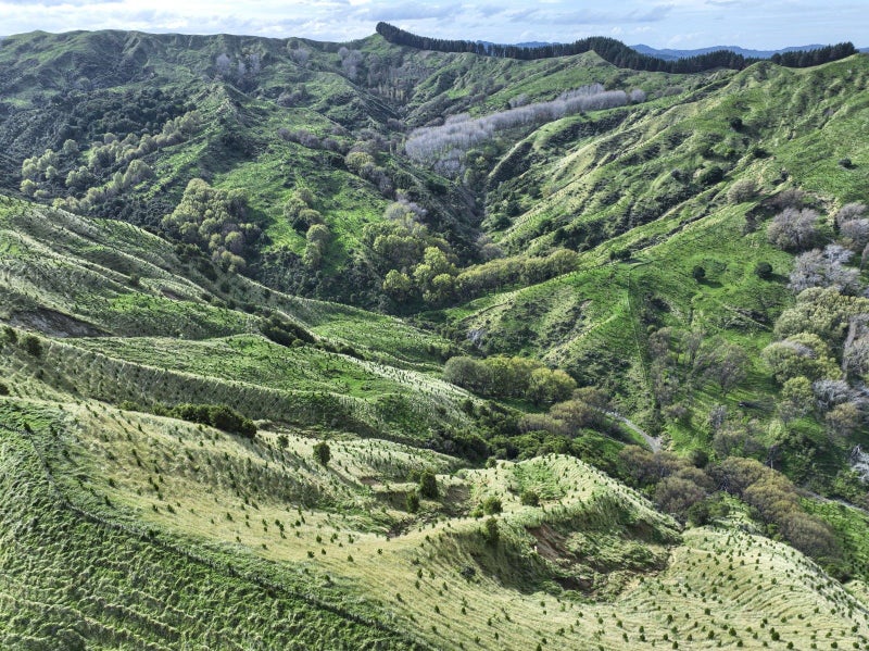 Gisborne Rural properties Trade Me Property