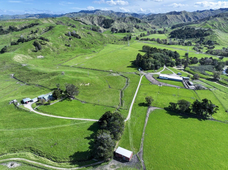 Gisborne Rural properties Trade Me Property