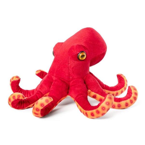 Living Nature Common Octopus Carousel 1
